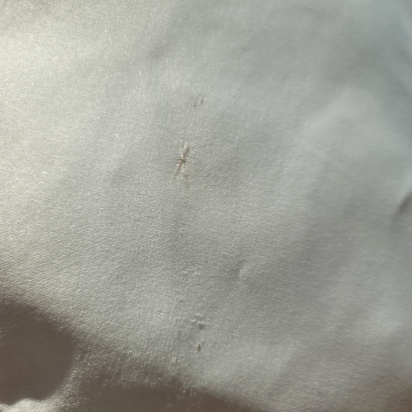 Sposabella Demetrios Ivory Cafe Wedding Dress - Picture 6 of 6